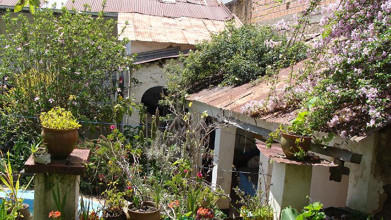 Sorata Stevs (6).JPG